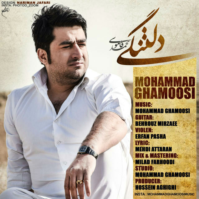 دانلود اهنگ دلتنگی از محمد قاموشی
